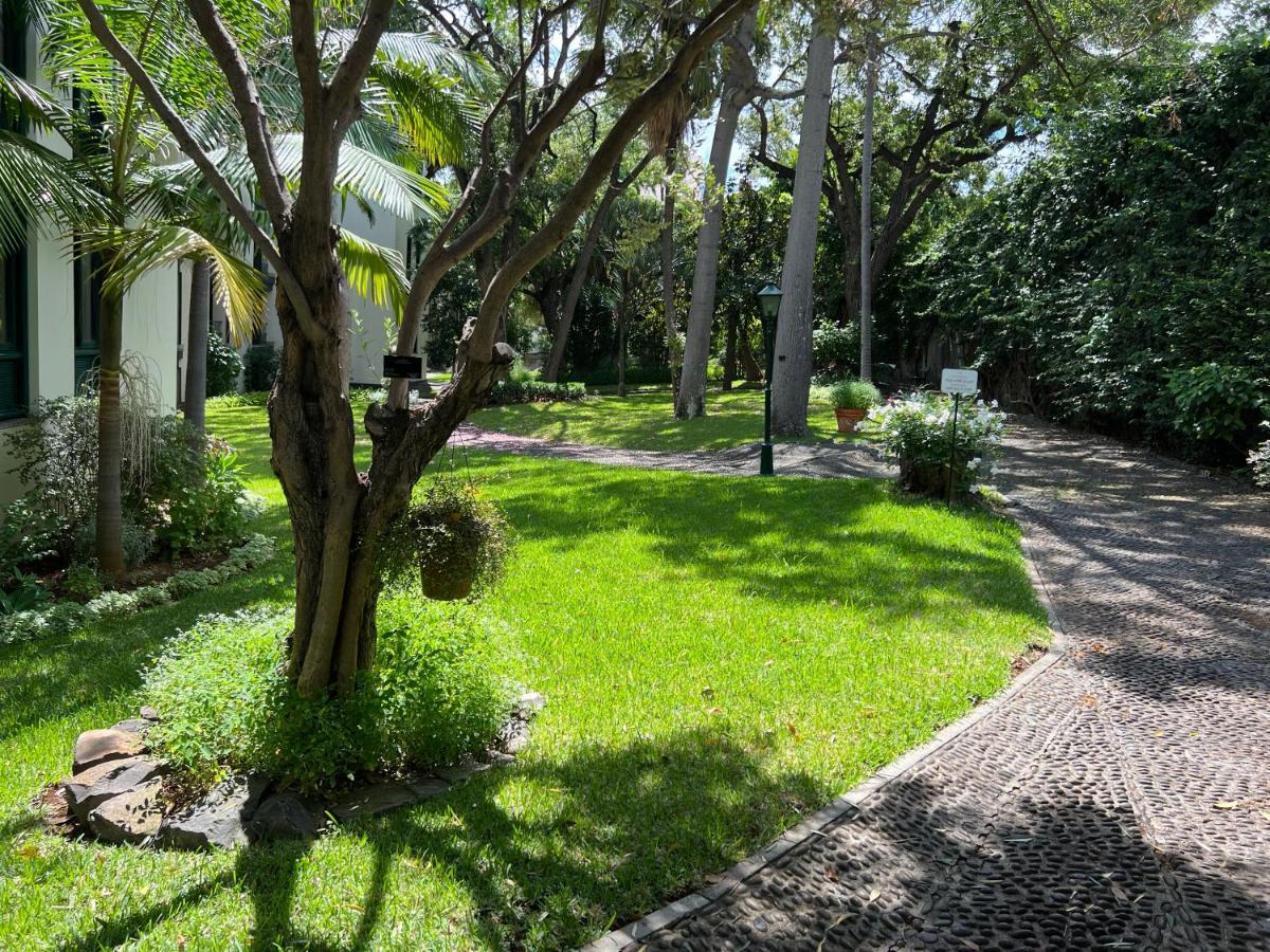 Luxury Oceanfront At Reid'S Gardens Lejlighed Funchal  Eksteriør billede